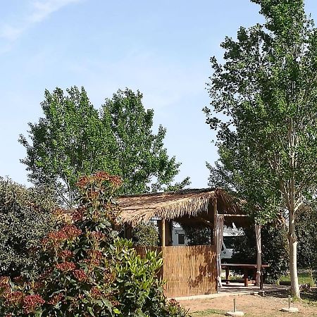 Bnatural Glamping Naturista/Nudista Baratti Kültér fotó