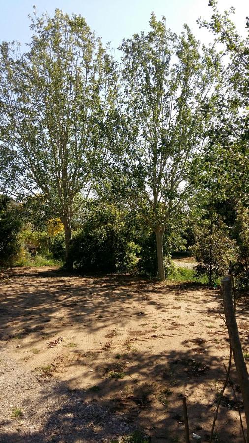 Bnatural Glamping Naturista/Nudista Baratti Kültér fotó