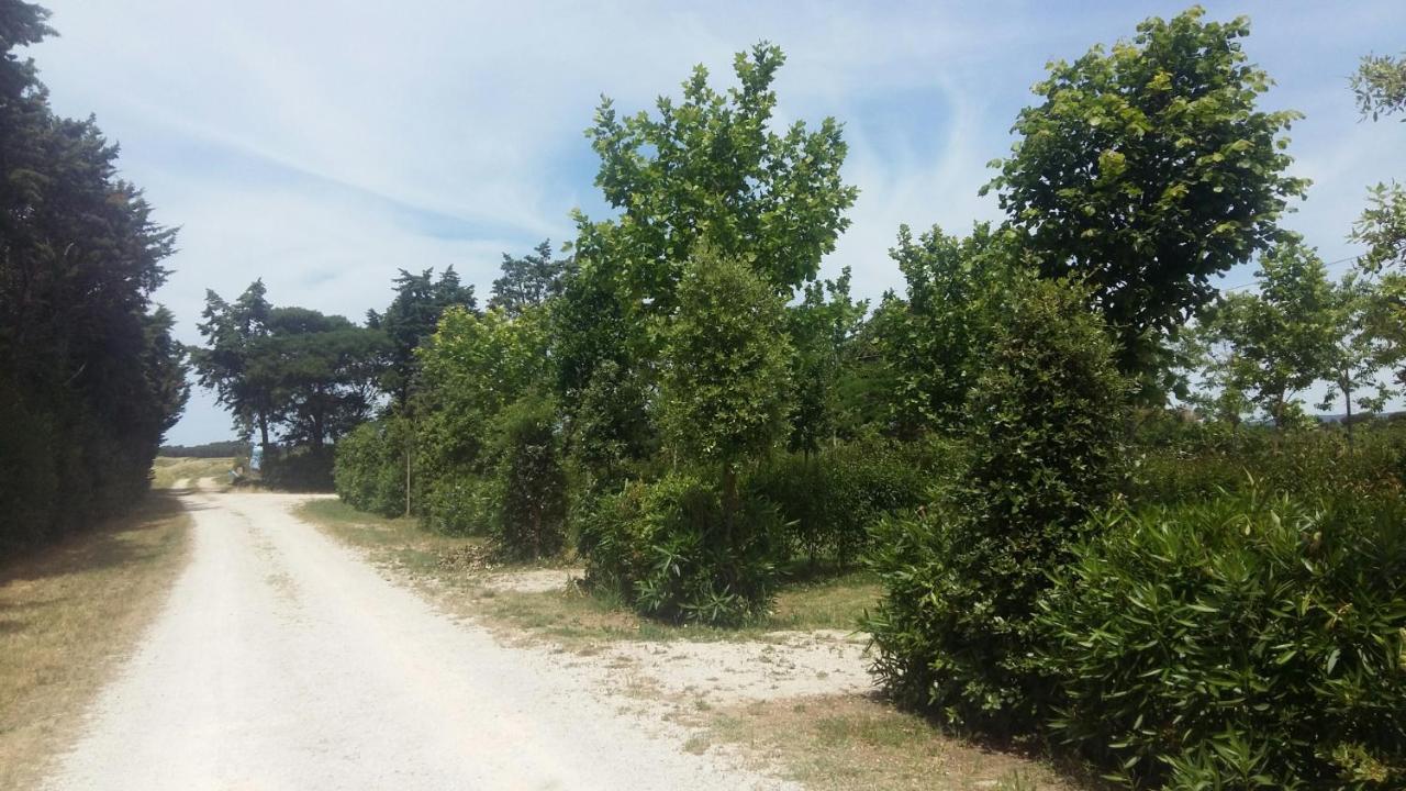 Bnatural Glamping Naturista/Nudista Baratti Kültér fotó