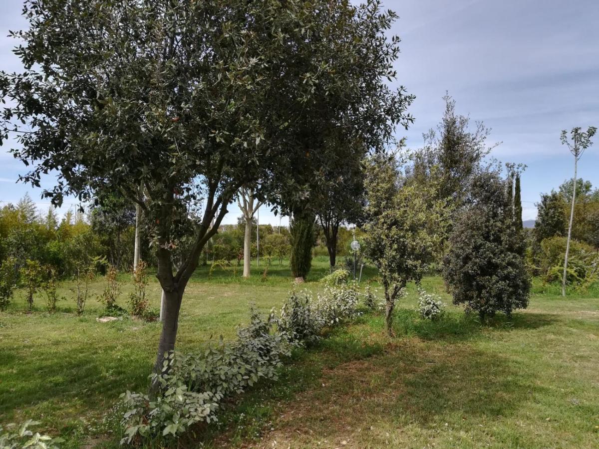 Bnatural Glamping Naturista/Nudista Baratti Kültér fotó