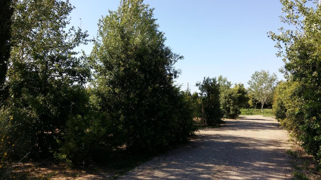 Bnatural Glamping Naturista/Nudista Baratti Kültér fotó