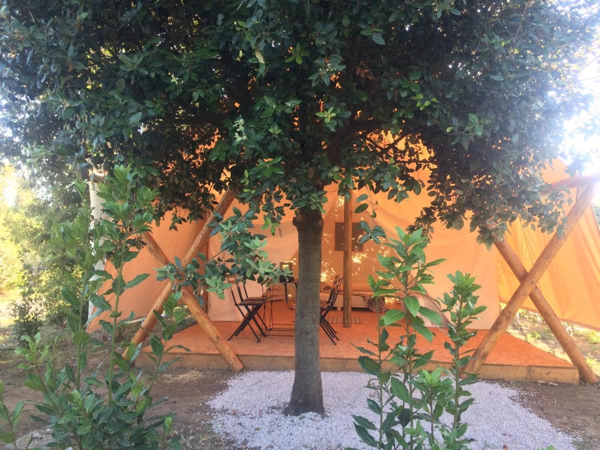 Bnatural Glamping Naturista/Nudista Baratti Kültér fotó