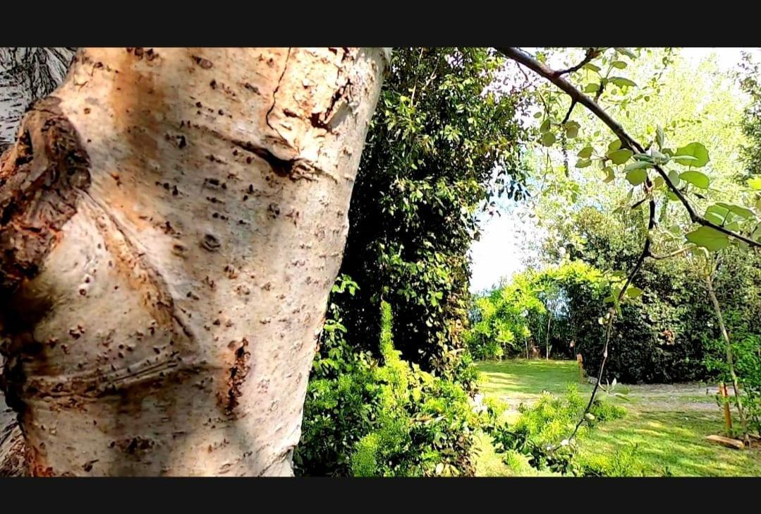 Bnatural Glamping Naturista/Nudista Baratti Kültér fotó