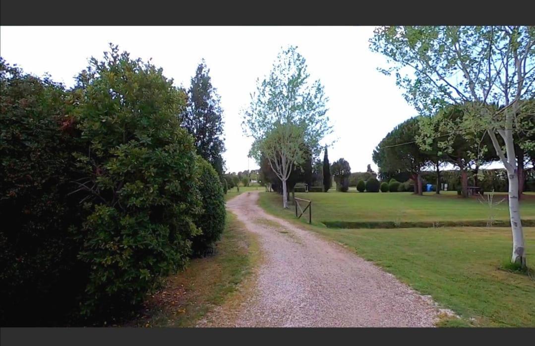Bnatural Glamping Naturista/Nudista Baratti Kültér fotó