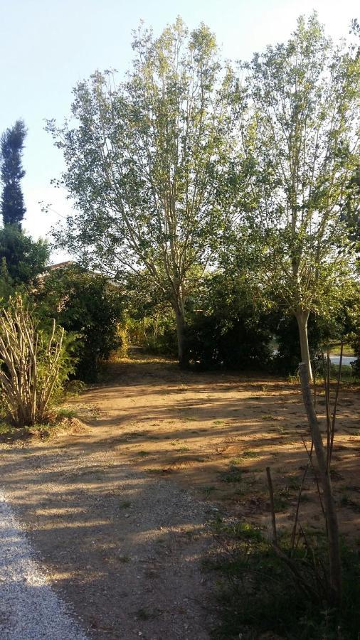 Bnatural Glamping Naturista/Nudista Baratti Kültér fotó