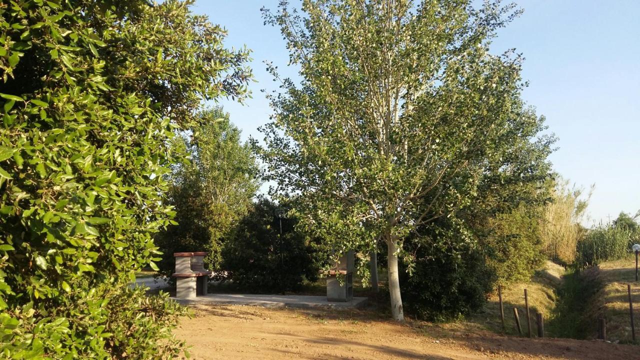 Bnatural Glamping Naturista/Nudista Baratti Kültér fotó