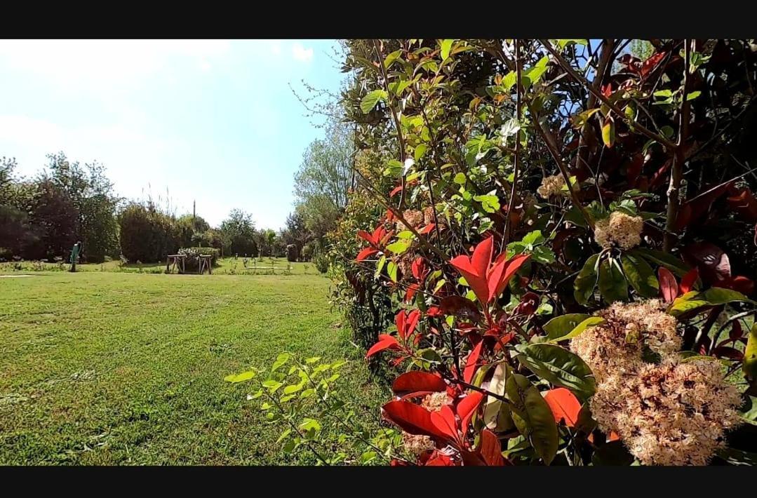Bnatural Glamping Naturista/Nudista Baratti Kültér fotó